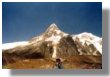 This trek will take you through some of the most beautiful forests of Sikkim. In spring this trail is especially beautiful with flowers - truly a naturalist's paradise. You'll come very close to Mt. Kanchenjunga and also get awe inspiring glimpse of the Sikkim Mountains